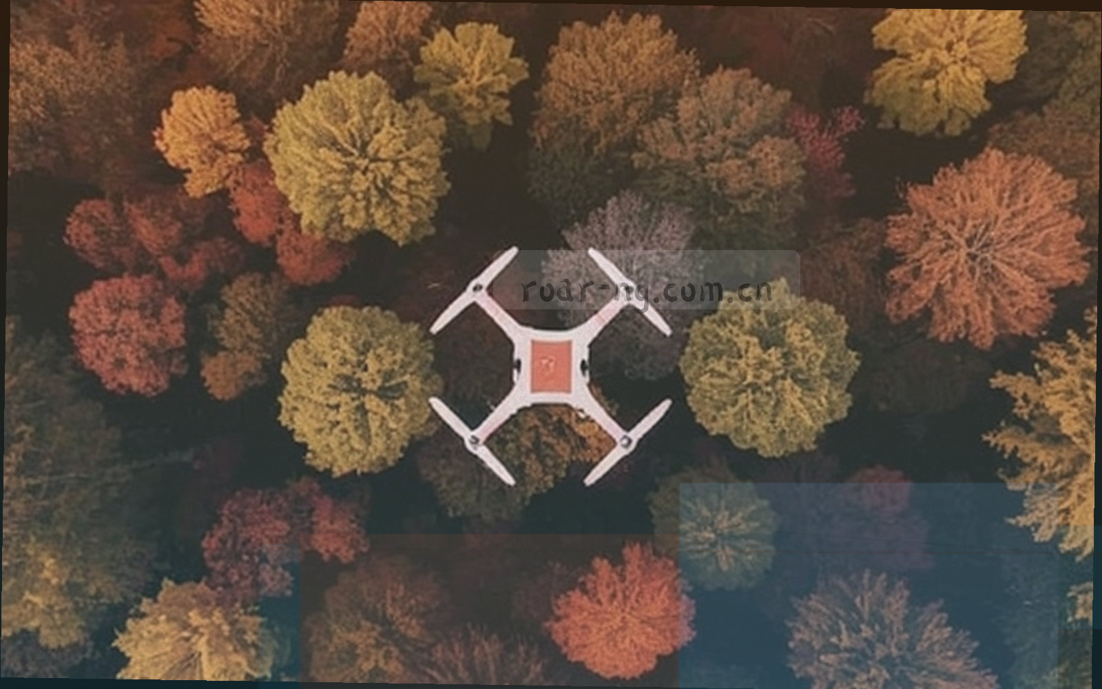 夜间球场灯光下的看台与草皮，光晕与声浪感强烈，画面中为不可辨识的群体剪影